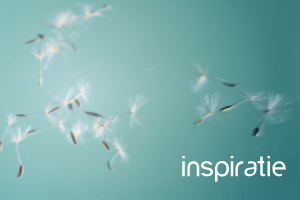 inspiratie