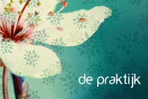 de praktijk